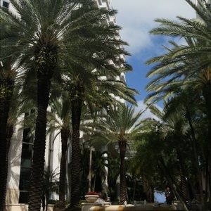 Meet your Posher, Derek